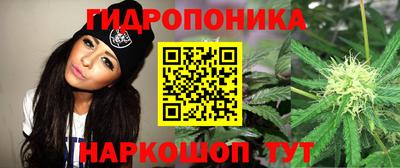 spice Бугуруслан